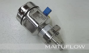 ��E+H����׃����PMC41