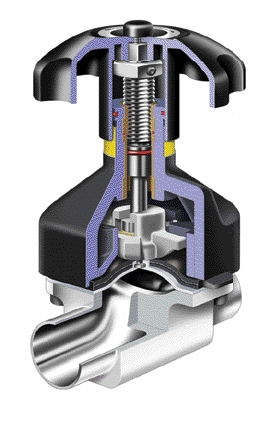 ɣ��˹Saunders��Ĥ�y